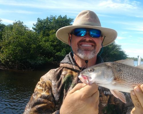 Englewood Florida  Fishing Charters | 4 To 8 Hour Charter Trip 